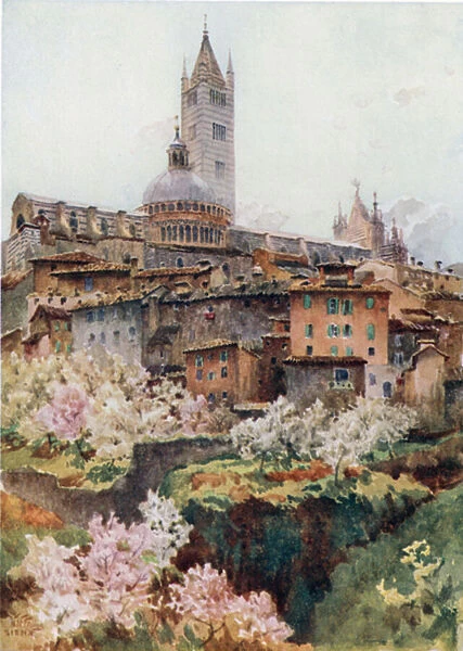 Siena. The Cathedral (colour litho)