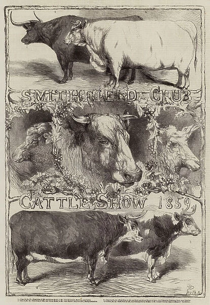 Smithfield Club Cattle Show, 1859 (engraving)