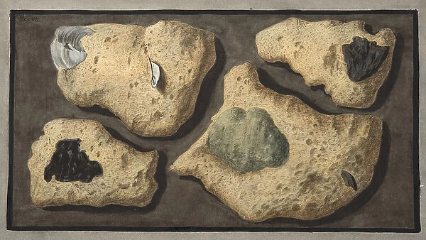 Specimens of Tufas from the quarrys near the Grotta of Pausilipo, Plate XXXXII