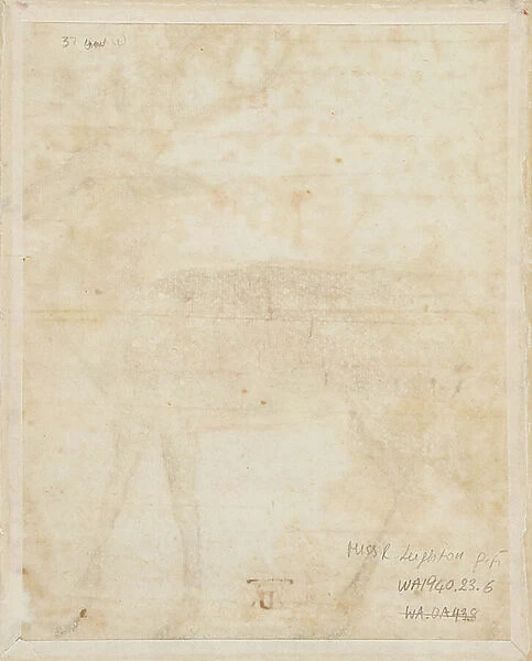 A Stag, 1551-1600 (pen and brush in brown and black ink with brown and black wash and white bodycolour on paper)