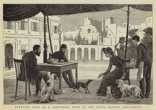 Starving Dogs at a Temporary Cafe in the Grand Square, Alexandria (engraving)