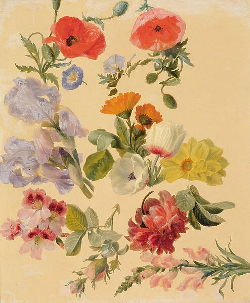 Studies of Summer Flowers (oil on canvas)