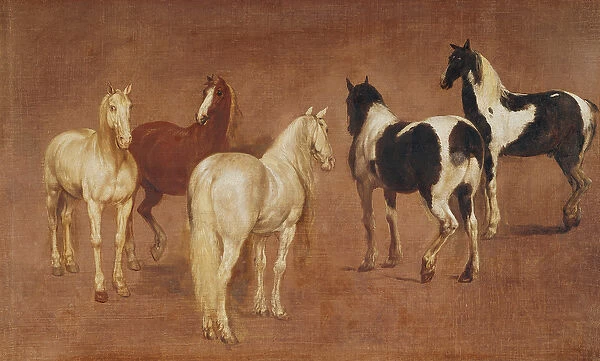 Study of Five Horses (oil on canvas)