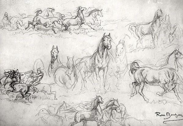 Study of Horses (pencil on paper) (b  /  w photo)
