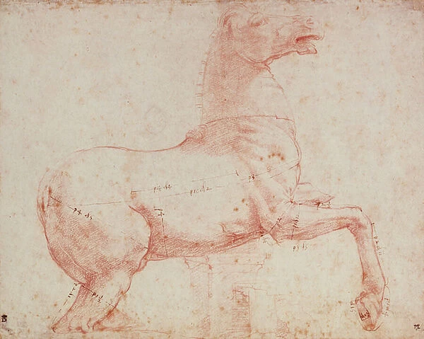 Study for Marble Horse of the Quirinal (red chalk on paper)