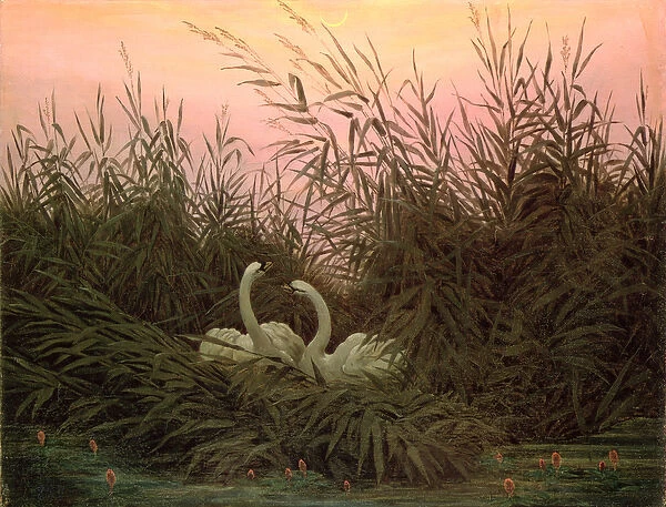 Swans in the Reeds, c. 1820 (oil on canvas)