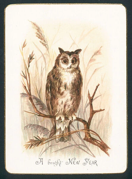 Tawny Owl, New Year Card (chromolitho)