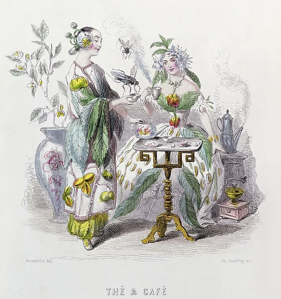 Tea and Coffee, from Les Fleurs Animees, engraved by Charles Geoffrey (1819-82