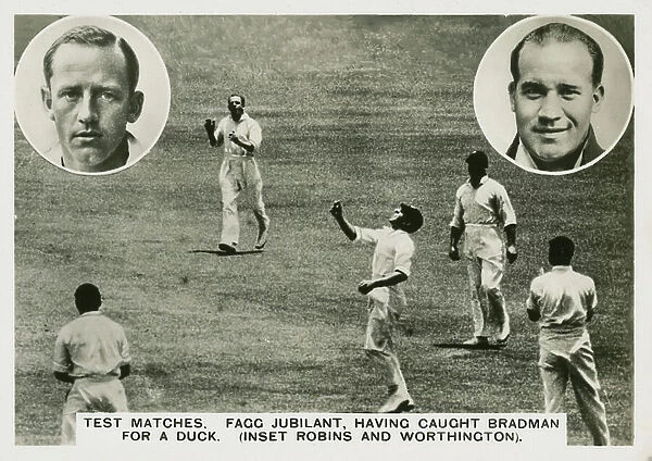 Test matches, Fagg jubilant, having caught Bradman for a duck (inset Robins and Worthington) (b / w photo)