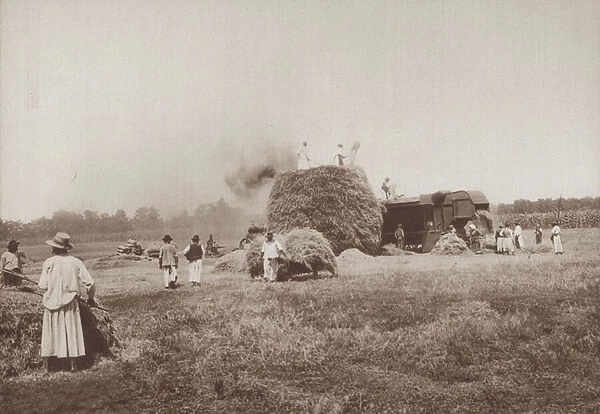 Threshing wheat on the Alfold, the plains of Hungary (b  /  w photo)