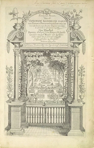 Title page from Florilegium, published 1612 (engraving)