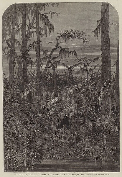 Transatlantic Sketches; A Swamp in Louisiana (engraving)