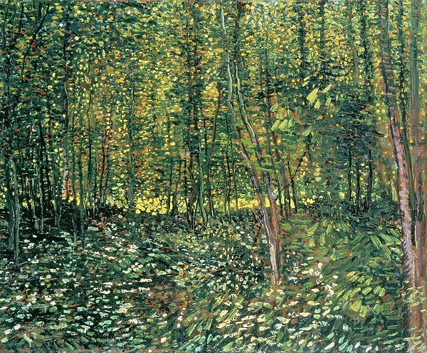 Trees and Undergrowth, 1887 (oil on canvas)