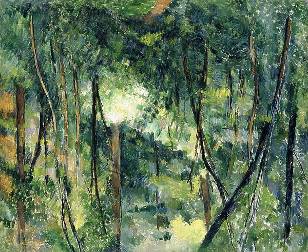 Undergrowth, c. 1885 (oil on canvas)