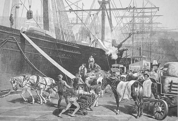 Unloading a ship, port of New York City, 1877 (litho)