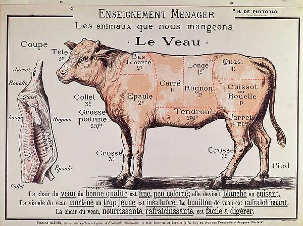 Veal: diagram depicting the different cuts of meat #22815344