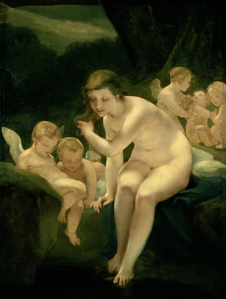 Venus Bathing or Innocence (oil on canvas)