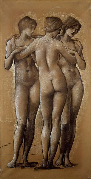 Venus Concordia - Study of the Three Graces, 1895 (chalk on paper)