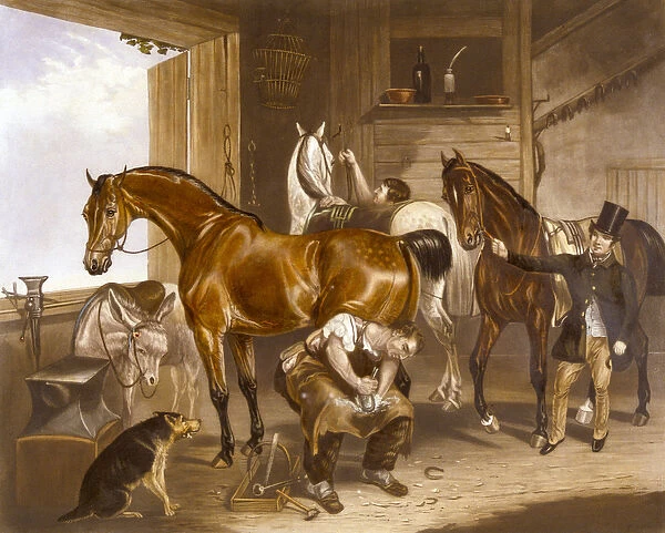 The Veterinarian, engraved by J. R. Mackrell (colour litho)