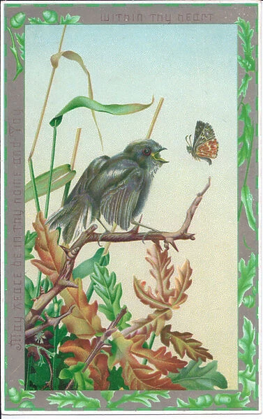 A Victorian Greeting Card of a bird about to catch a butterfly