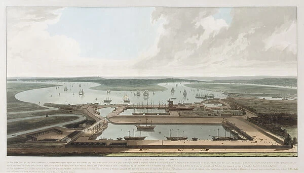 A View of the East India Docks, 1808 (engraving)