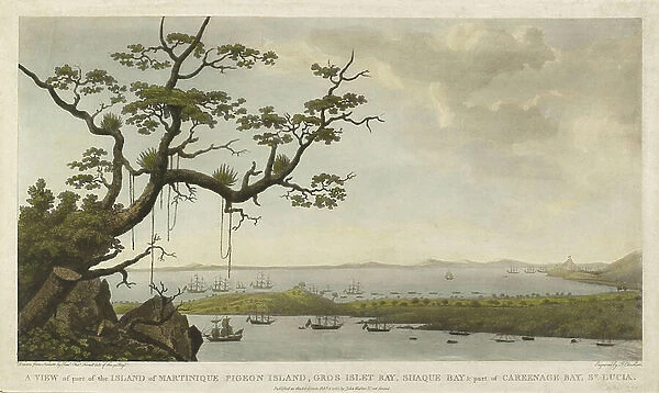 'View of the islands of Martinique, Pigeon Island, Gros Islet Bay, Shaque Bay and part of Carenage Bay, Saint Lucia. Lithography