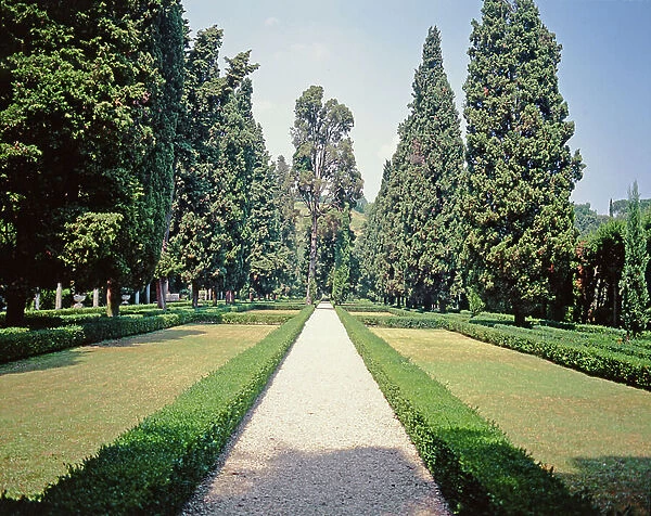 View of the walkway through the park, designed for Cardinal Giuliano de'Medici (1478-1534) by Raffaello (1483-1520) and Antonio da Sangallo (1455-1534) 1517 (photo)