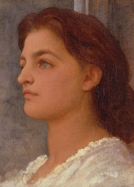 Vittoria (oil on canvas)