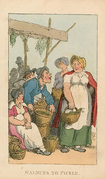 Walnuts to pickle (coloured engraving)