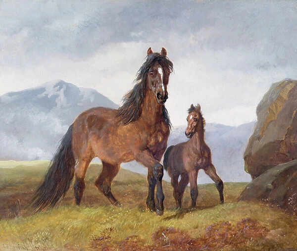 A Welsh Mountain Mare and Foal, 1854 (panel)