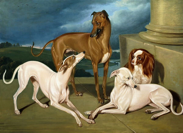 Whippets and a King Spaniel, 1837 (oil on canvas)