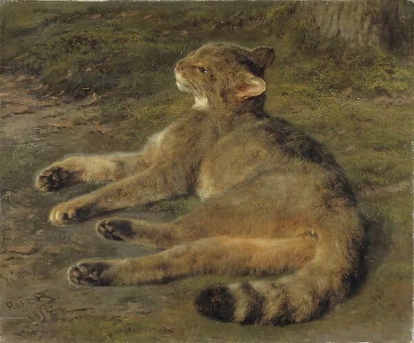 Wild Cat, 1850 (oil on canvas)