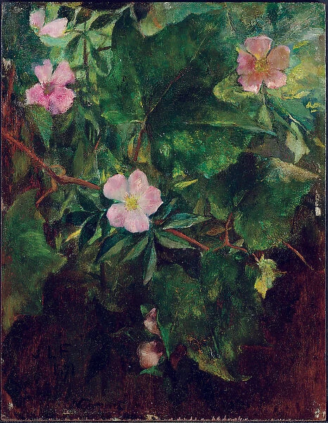 Wild Rose and Grape Vine, Study From Nature, 1871 (oil on panel)