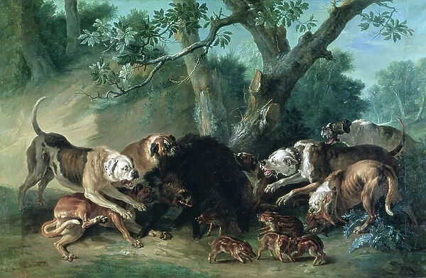A Wild Sow and her Young Attacked by Dogs, 1748 (oil on canvas)