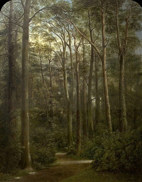 The Wilderness, 1857 (oil on canvas)