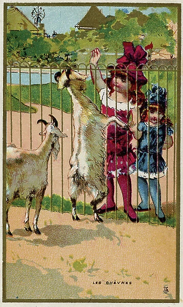 The zoo: girls carress goats through bars. Chromolithography of the 19th century