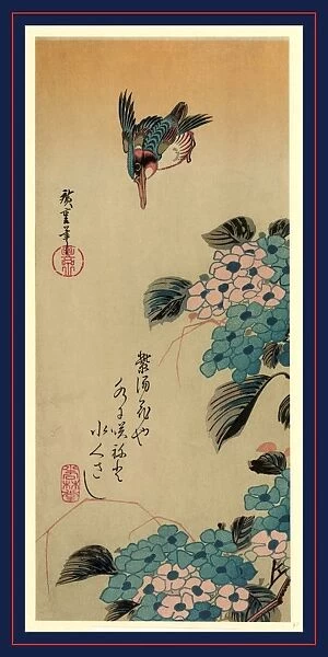 1797-1858 1830 1858 Ajisai Ando Hiroshige Hydrangea