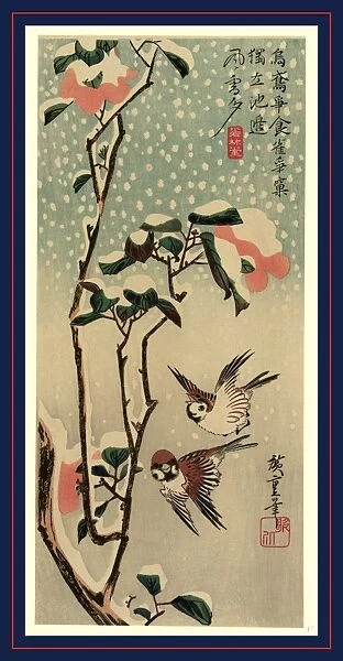 1797-1858 1830 1858 Ando Hiroshige Secchu Sparrows