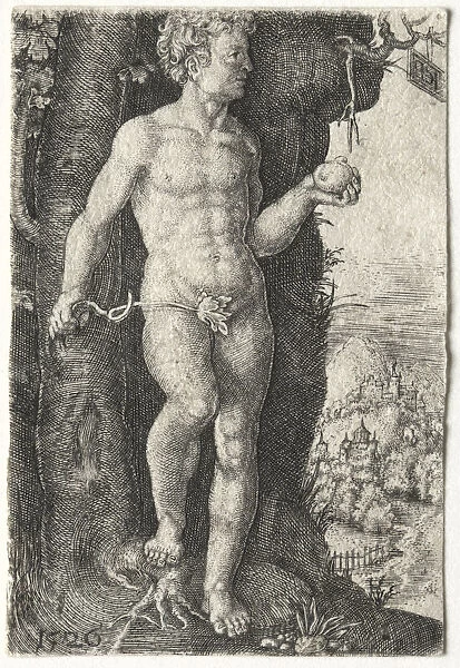 Adam 1526 Jacob Binck German 1500-1569 Engraving