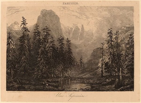 Alexandre Calame, Une Sapinia┼íre, Swiss, 1810 - 1864, 1840-1850, etching
