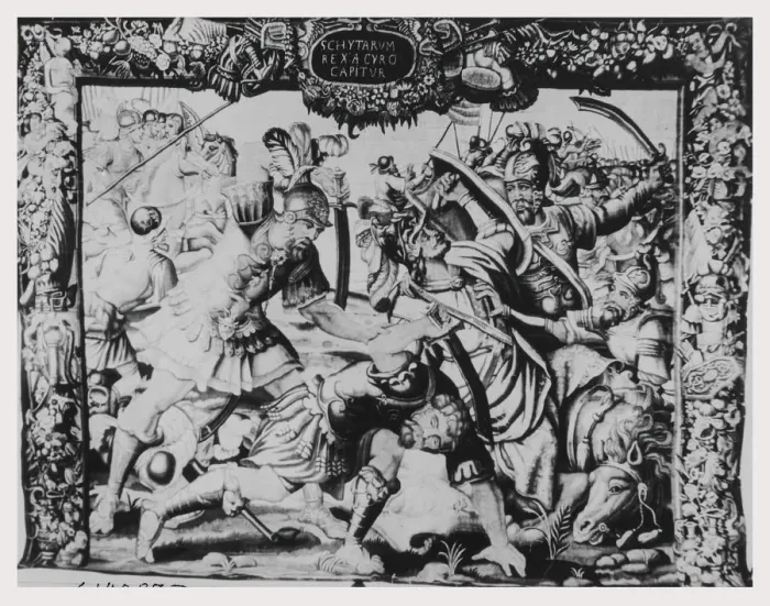 Framed Print : Librifly Battle Scene Print Framed Print : Librifly Battle Scene Print