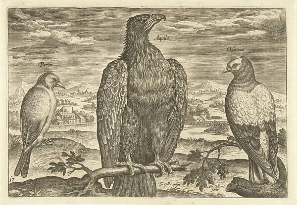 Three birds in a landscape, print maker: Adriaen Collaert, Theodoor Galle, 1598 - 1618