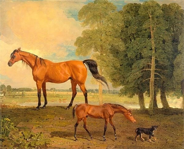 Broodmare with Foal, and a Terrier Broodmare with Foal and Terrier Near Newmarket