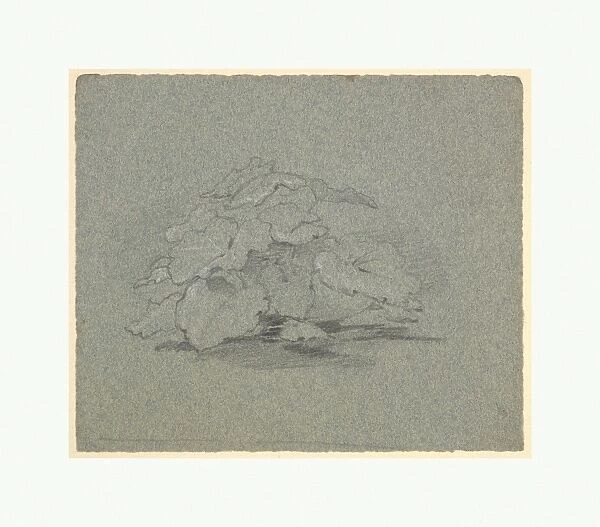 Burdock 1820-90 Black white chalk blue-gray paper
