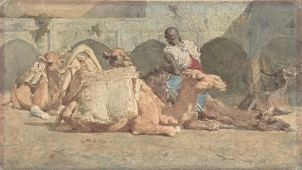 Camels Reposing Tangiers 1838-74 Brush watercolor