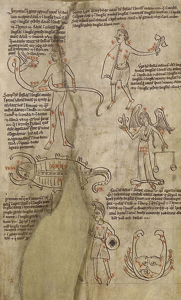 Constellation Diagrams England early 13th century