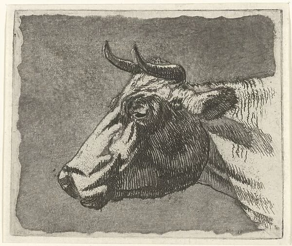 cow, Johannes Janson, 1761 - 1784