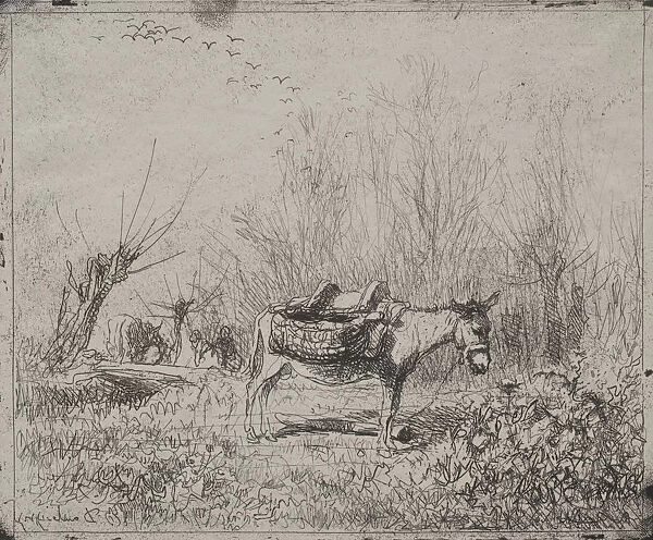 Donkey Field original impression 1862 printed