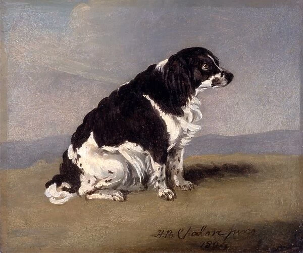 The Duchess of Yorks Spaniel Signed and dated, lower right: H