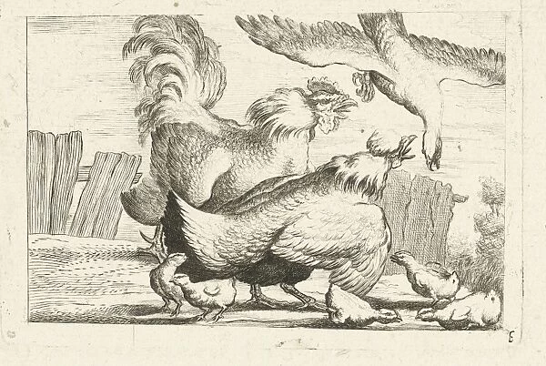 Falcon, group of chickens, chicks, Peter Casteels III, c. 1700 - before 1749